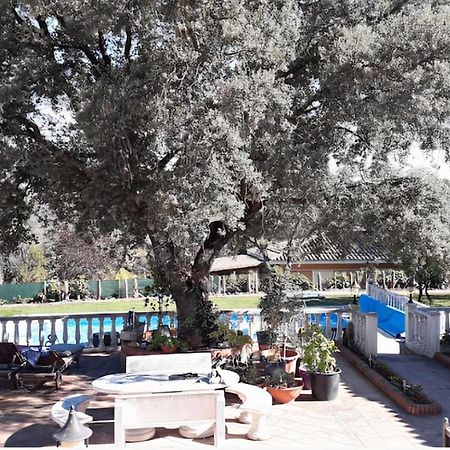 Lovely Home, Cozy Corner In El Bosque, Madrid. Villaviciosa de Odón Εξωτερικό φωτογραφία
